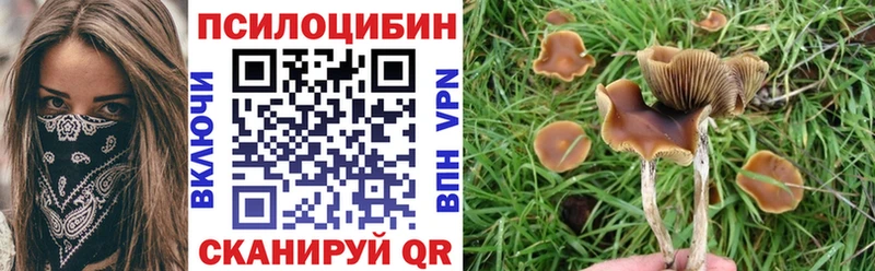 Псилоцибиновые грибы Magic Shrooms  Починок 